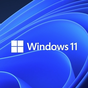 Windows 11 Pro (x64)